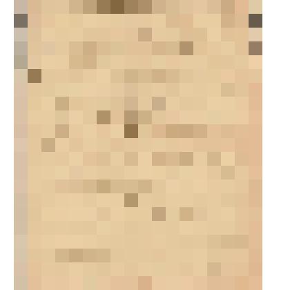 Телеграмма в Чердынь В.О.Алину от Зылева из Сарапула, 10.04.1904 г