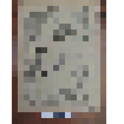 Тетрадь учащегося техникума Трубникова Л.К. группы №2  по дисциплине: Тепловой расчет парового котла системы «Бабкок- Вилькокс»