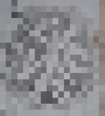 Графическая работа. Лист из серии "Вороны"