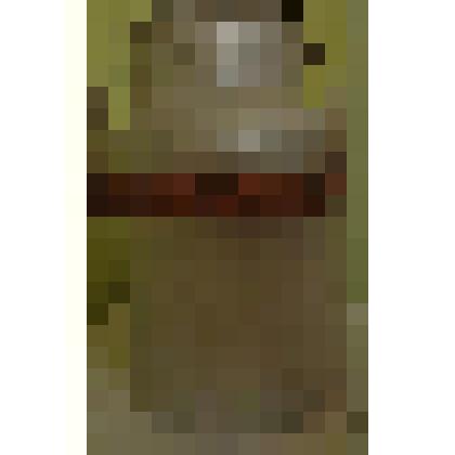 бидон с крышкой