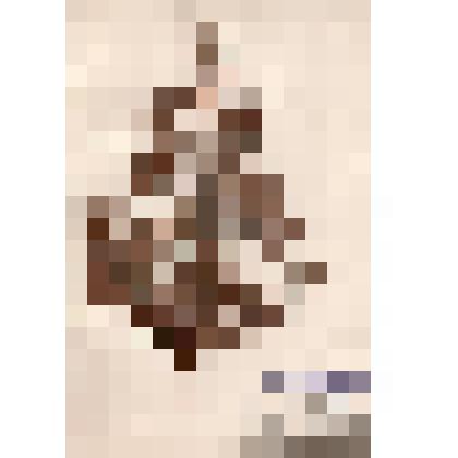 Гербарий. Папоротник