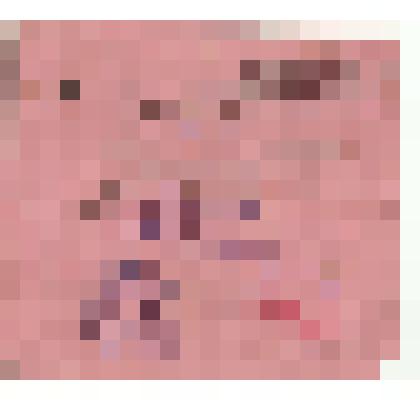 Делегатский билет на уездный съезд 