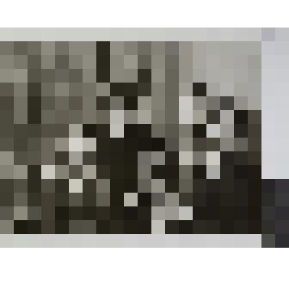 Е.А.Райкина с сыном