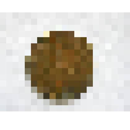 Монета 5 стотинок