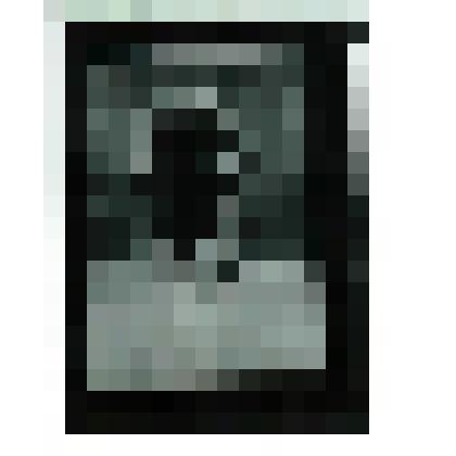 Фотонегатив. Кассиль Л.А