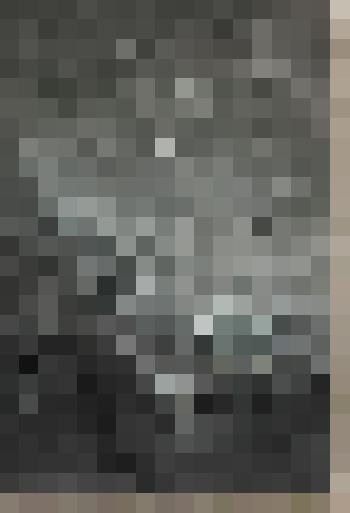 Спящий Вооз и Руфь. Иллюстрация к Библии. Книга "Руфь"