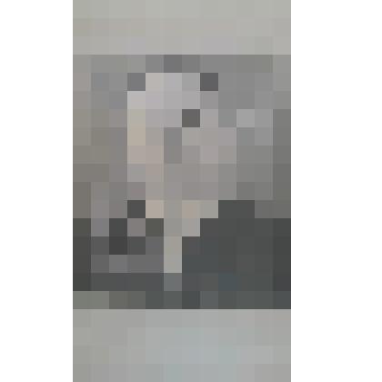 Фотография: Зуенко П.С., комбайнер совхоза "Октябрь" Каменского района Алтайского края