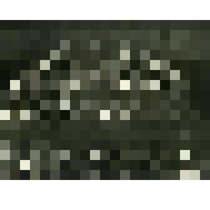 Фотография. Иконстас церкви села Пияла. Фрагмент резьбы