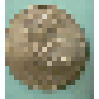 Монета, 5 рублей, 1990