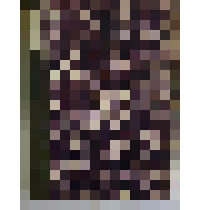 Книга. Кормление домашних животных, издание 3-е. Типография П.П. Сойкина