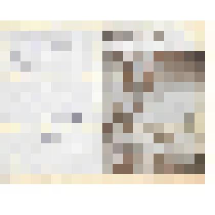 Документ. Репертуарный листок 93-го театрального сезона Кинешемского драматического театра имени А.Н. Островского.   Из коллекции материалов по истории Кинешемского драматического театра им. А.Н. Островского (1920-е гг. -1990-е гг.)