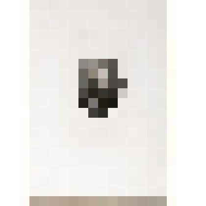 Портрет А.Н. Оленина (1763 - 1843). С гравюры Н.И. Уткина (1836) с рисунка Ф. Крюгера