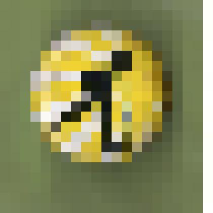 Значок  с изображением туриста