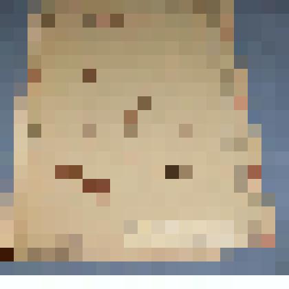 Ботаническая коллекция. Ятрышник  широколистный, на гербарном листе, с.Идра, болото около горы Тигей. Orchidaceae Orchic  latifolia Z