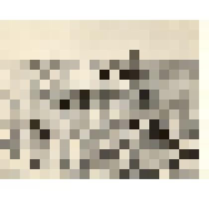 Фотография: сбор арбузов в 7-й бригаде колхоза им. Партсъезда Каменского района