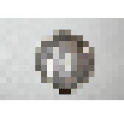 Монета. 1 рубль