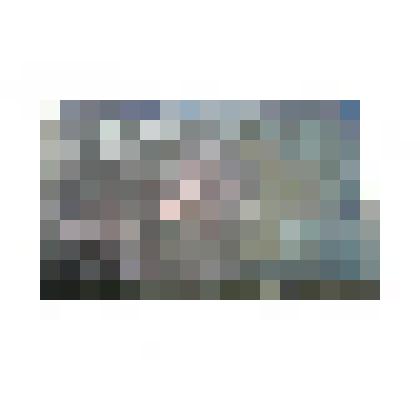 Клише рисунка чека Натурсоюза «Разум и совесть» (аверс)