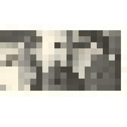 Фотография: передовые скотники колхоза "Рассвет" Каменского района Алтайского края Компэн Виктор Францевич, Хрюкин Иван Панфилович, Ундефукт Виктор В. (слева направо)