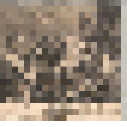 Триумф Силена