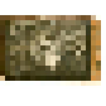 Фотография. Максимов Ивана Максимович с семьей