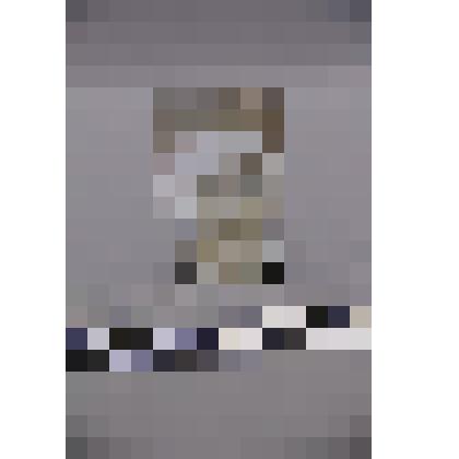 коллекция В.Ф. Лагодича. Талисман каменный стоящий, выполнен в виде головы человека. Лицо белого цвета, остальная часть головы с волосами серого. Камень бело серого цвета