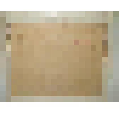 Живопись "Последний снег", Неводовская Т.Г