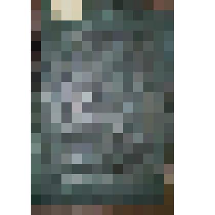 Книга. Книги разрядные. Изданы с высочайшего соизволения 2-м отделением Его Императорского Величества канцелярии. - Том второй. - С.-Петербург, 1855 г