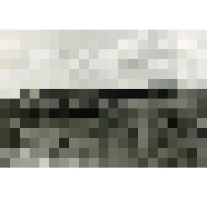 Фотография. Уборка урожая кукурузы в колхозе имени Н.С. Хрущева