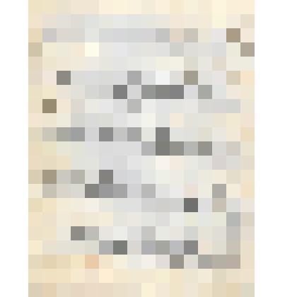 Документ. Записи по литературе Белопухова Сергея, учащегося 4-го класса Кинешемского реального училища имени И. А. Коновалова. Из коллекции материалов о Белопухове Сергее Семеновиче (1900-1975), уроженце села Гольцовка Георгиевской волости Кинешемского уе