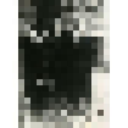 Фотография. Семья Шуваевых около дома Гробовых № 49 на Нижней улице. С. Коломенского