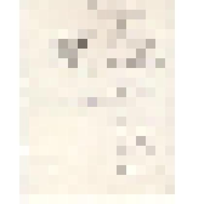 Стихотворение. Стихи М. Белых, посвященные Е. Толмашову