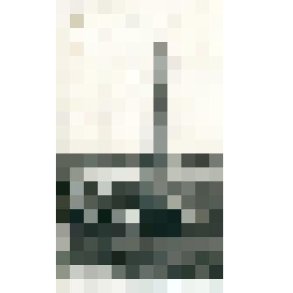 Фотография. Памятник Черскому И.Д. пос. Колымское Нижнеколымский район. 60-е г.г