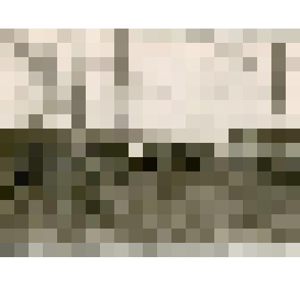 Фотография. Жилище якутов