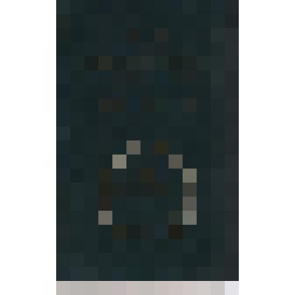 Книга: "М.Ю. Лермонтов в воспоминаниях современников"