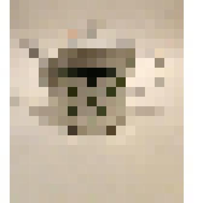 Чайник заварочный