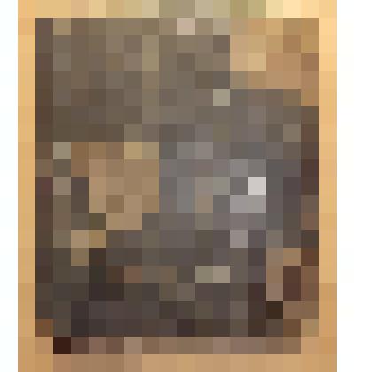 Книга. Иоанн Златоуст. Слово о лжепророках и лжеучителях. [Тип. П.И.Селезнева в Махновке и К.Колычева в Янове. XIX вв.]