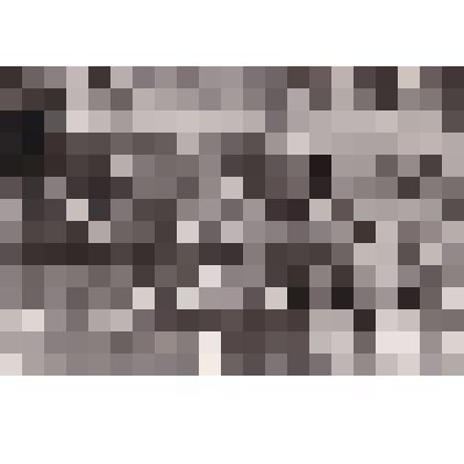 Фотография "Группа летчиков 828 Свирского штурмового полка"