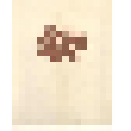 Животные. Заяц