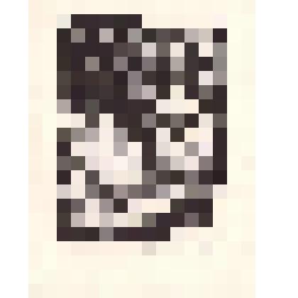 Экслибрис "REMO"