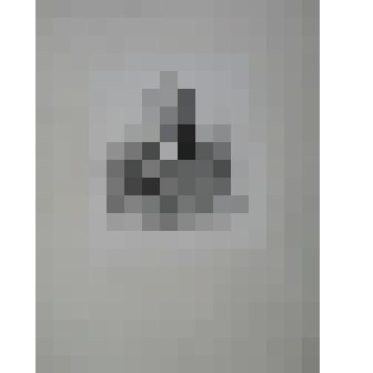 Портрет. Грановский Тимофей Николаевич