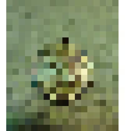 Медаль (часть) "За  Победу над Германией В Великой Отечественной войне 1941 - 1945 гг"