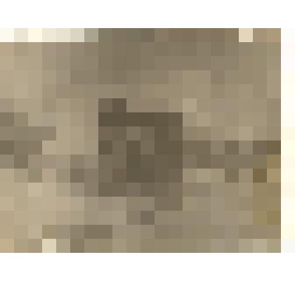 Фотография: мост через пруд в селе Велижанка Панкрушихинского района