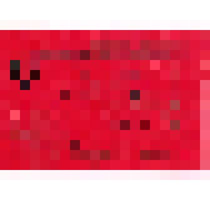 Мандат № 25 на имя Тринца Виктора Ивановича