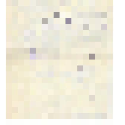 Документ. Характеристика администрации средней школы № 3 имени А. Н. Островского города Кинешмы Ивановской области Белопухова С. С. Из коллекции материалов о Белопухове Сергее Семеновиче (1900-1975), уроженце села Гольцовка Георгиевской волости Кинешемско