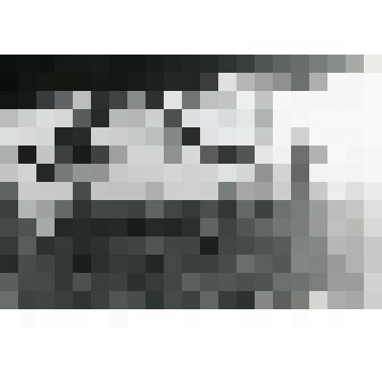 Фотография. Огород Гробовых и  берег Москвы-реки. Вид от дома Гробовых