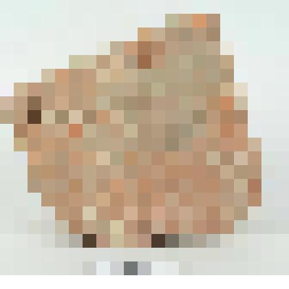 Кирпич формованный фигурный. Фрагмент