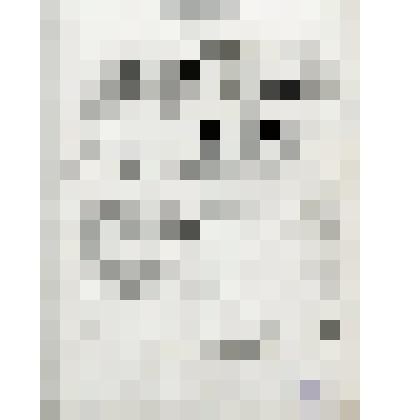 Нотное издание: "Романсы и песни"