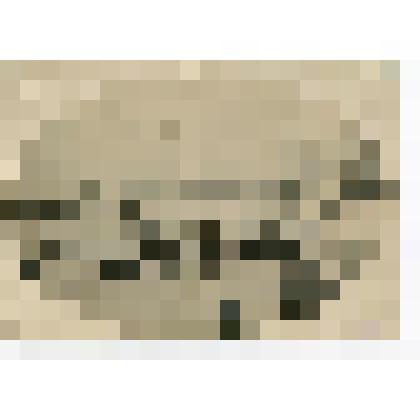 Фотография черно-белая. Город Вытегра. На катке