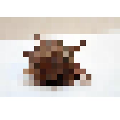 Раковина моллюска. Рогатый тюрбан