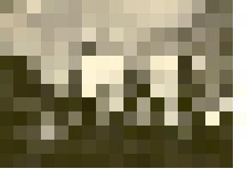 Фотография: читальный зал Каменской городской библиотеки №1